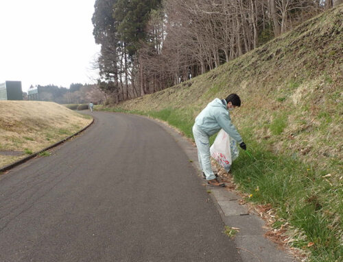 社外活動・公園環境整備作業参加